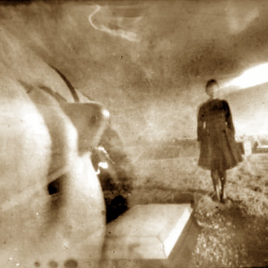 Sepia pinhole image made of two overlapping exposures: a large blurred pale form on the left, a person standing in open ground on the right beneath a bright band of light.